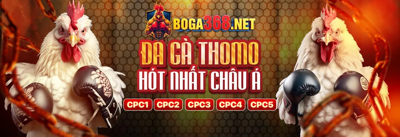 Đá Gà Trực Tuyến 678bet